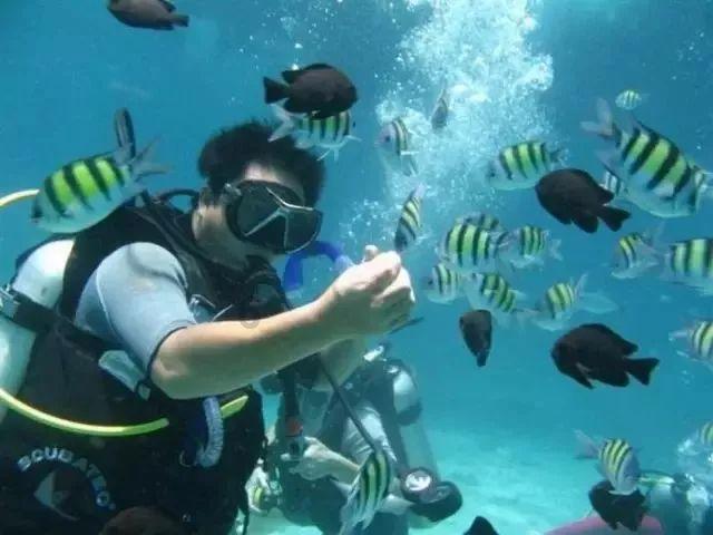 火遍石家庄大学生圈！“写生爷爷”有了新计划……